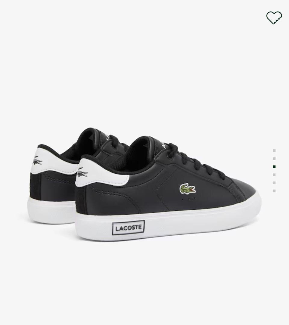 Sneakers Lacoste en cuir