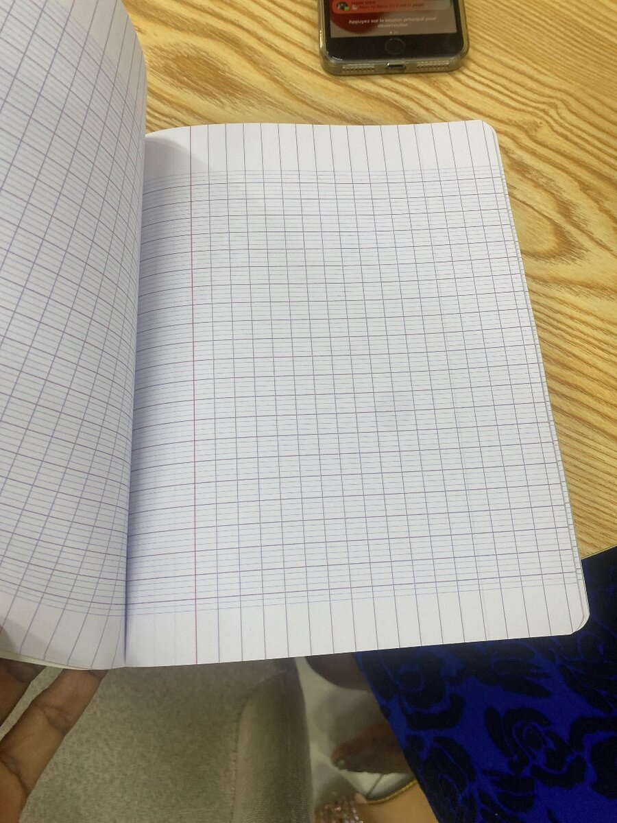 Cahier à carreaux 192 pages