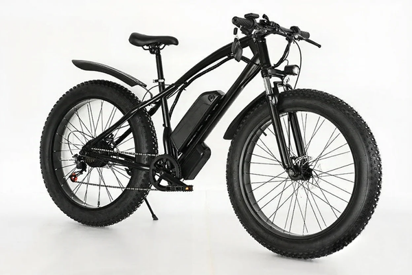 Vélo Électrique Fat Bike
