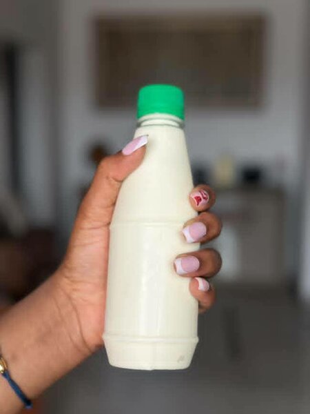 Lait et deguê