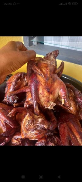 Poulet fumé pondeuse