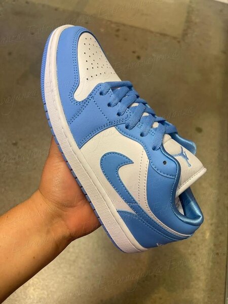 Baskets basses bleu et blanc