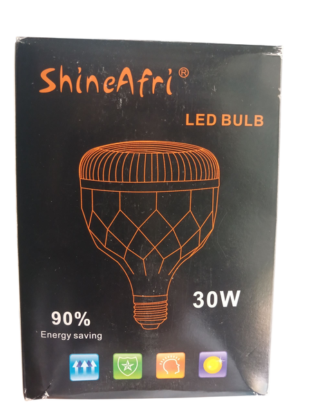 Ampoule LED Économique 30W