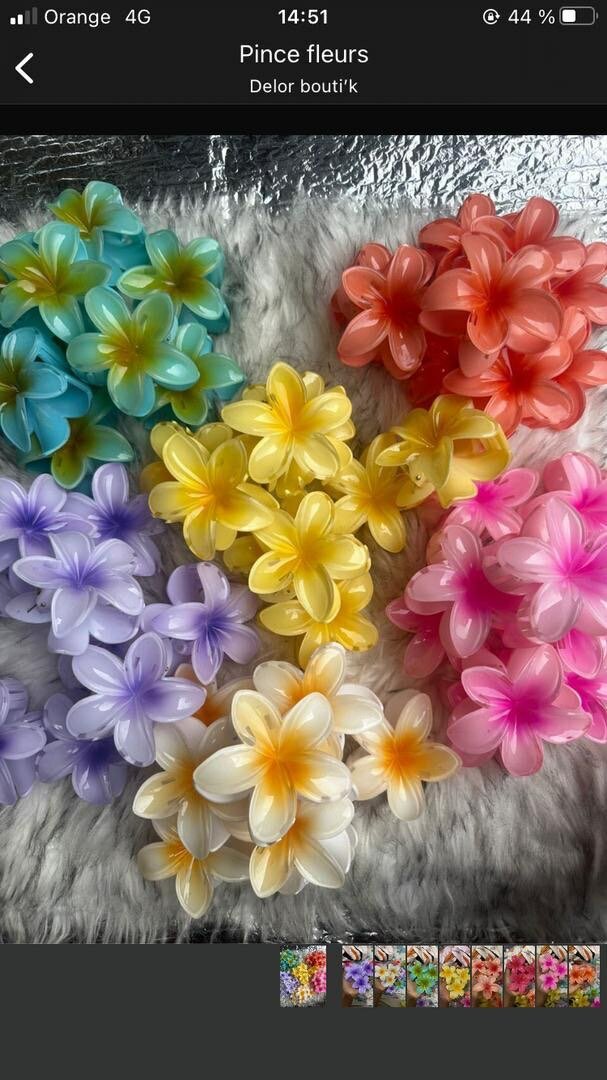 Pince à cheveux fleurs colorées