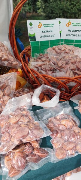 Натуральные сушеные Баткенские абрикосы в вакуумной упаковке