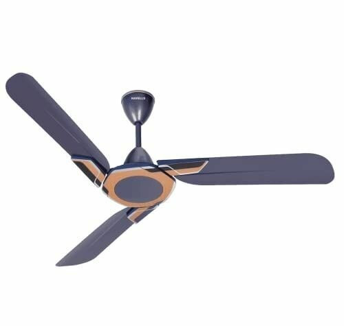 Ceiling fan