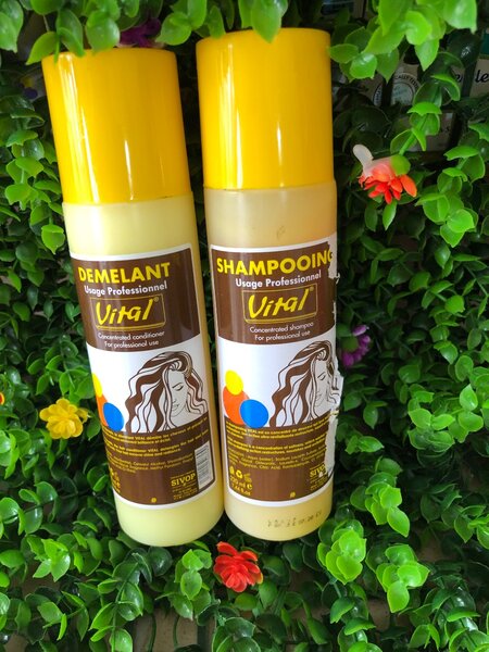 Set Shampooing et Démêlant Vital