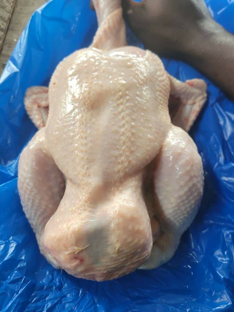 Poulet de ferme frais
