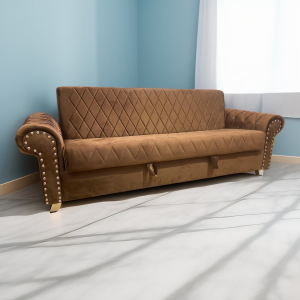 Designer Sofa Cum Beds