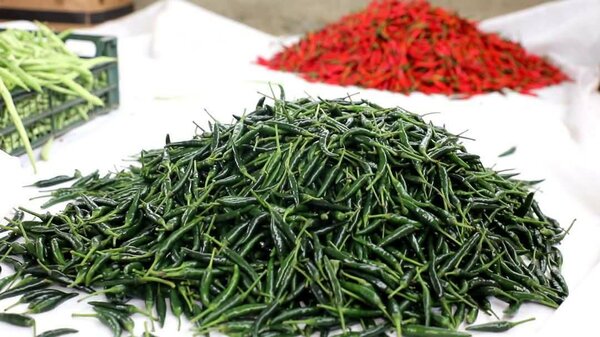 Fruits et Légumes Exotiques Bio