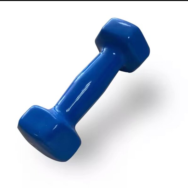 Haltères hexagonaux 1kg