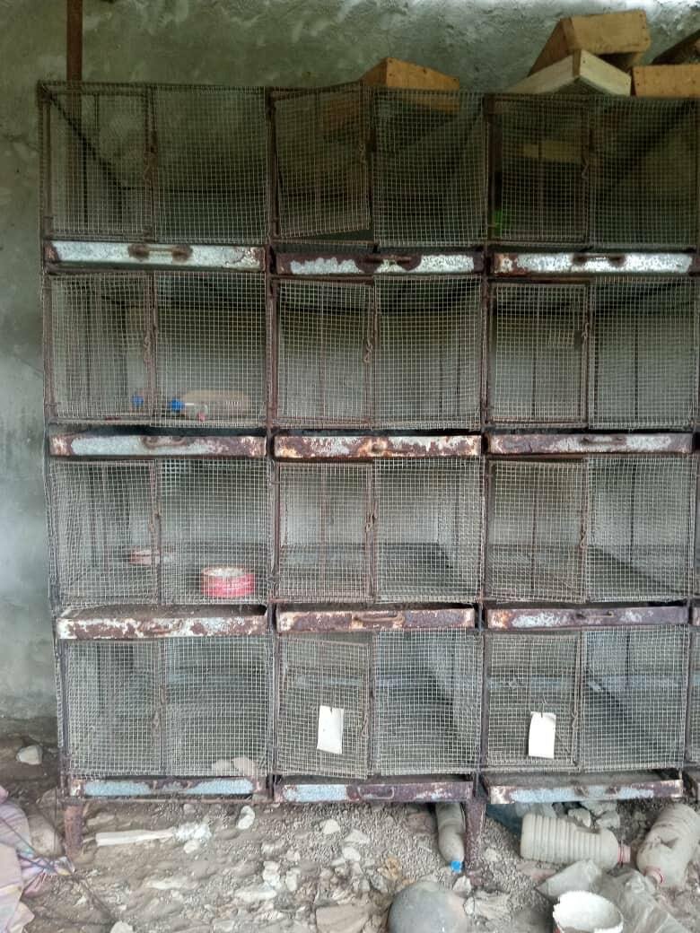 Élevage de cages métalliques