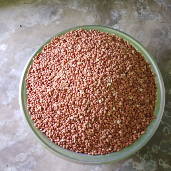 Arachides crues en vrac