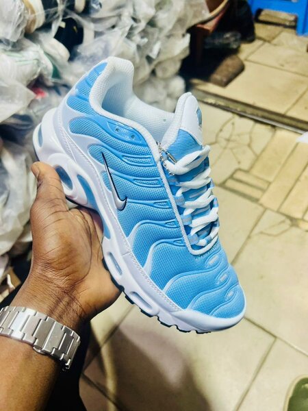 Nike Tn bleu et blanc