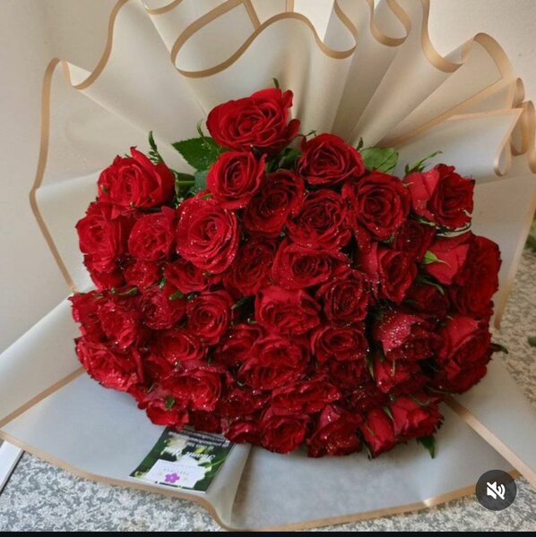Various sizes of fresh Roses available...Kindly dm for price