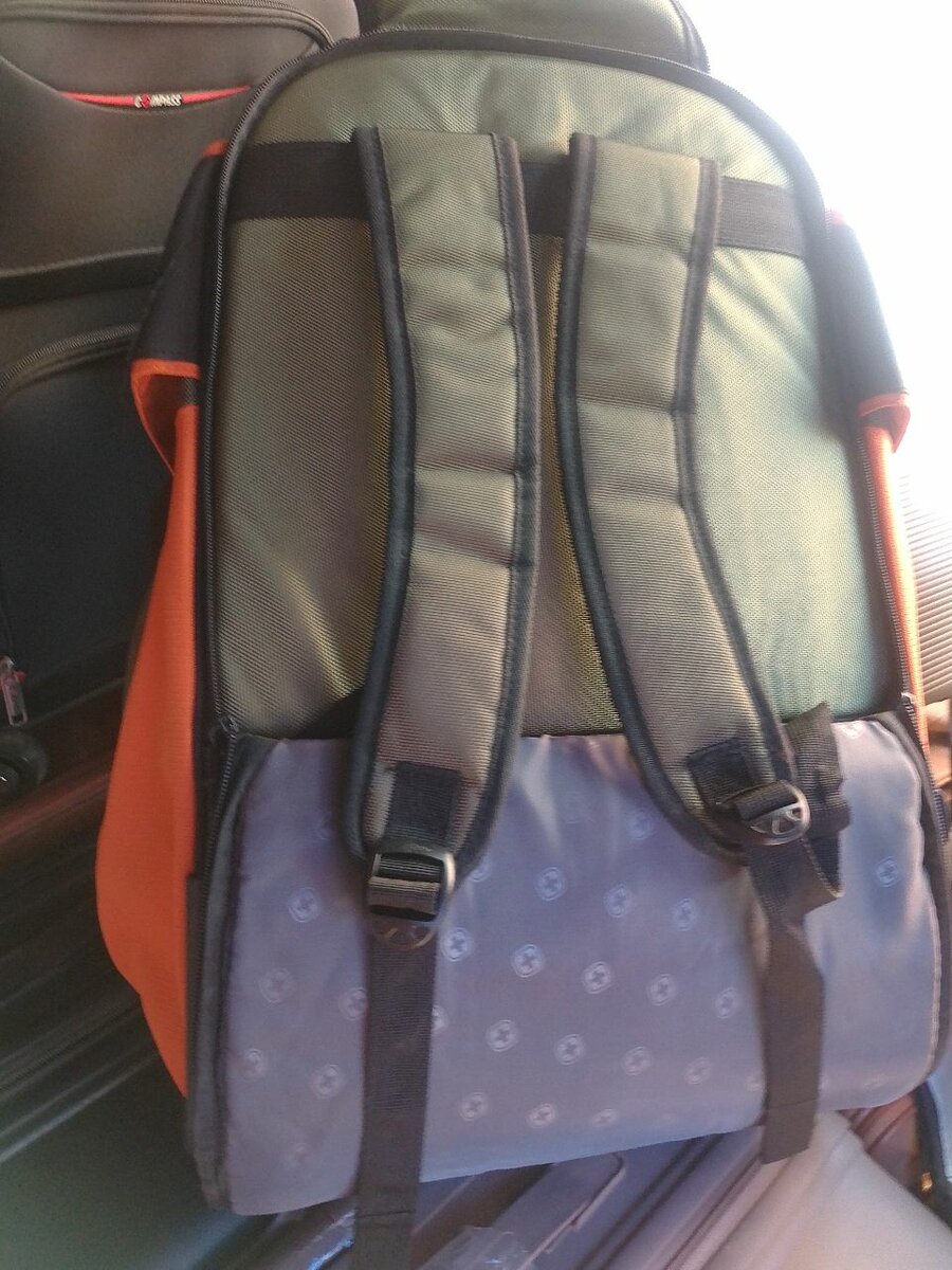 school and travelling