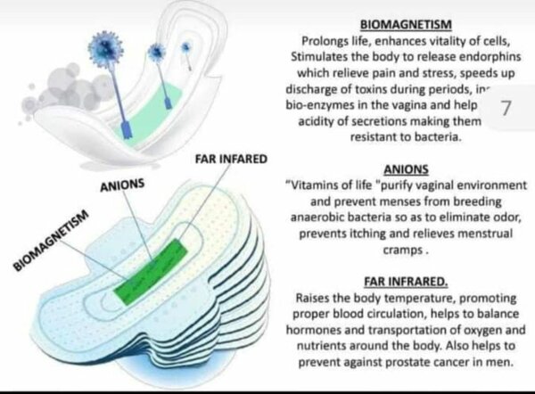 Anti-Bacteria Panty Liner - 30 Layers