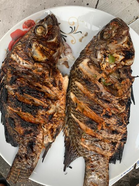 Tilapia braisé doux (normal )