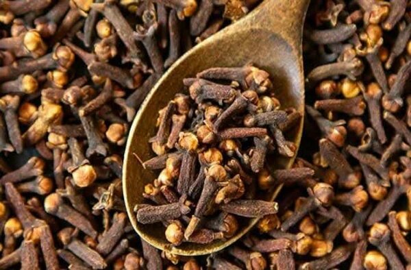 Clous de girofle bio entiers