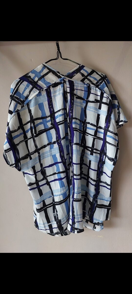 Blue and White Blouse