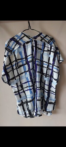 Blue and White Blouse