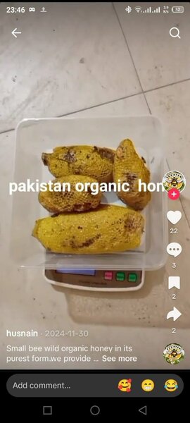Organic Honey and dasi Ghee