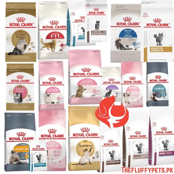 Royal canin cat food