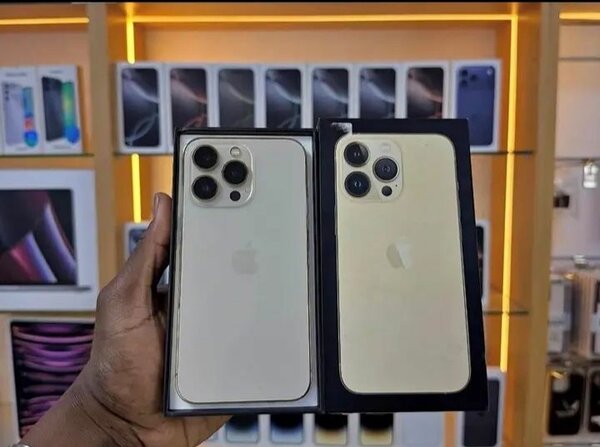 iPhone 13 Pro Max Neuf