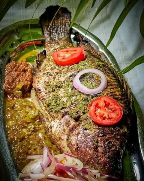 Tilapia grillée épicée