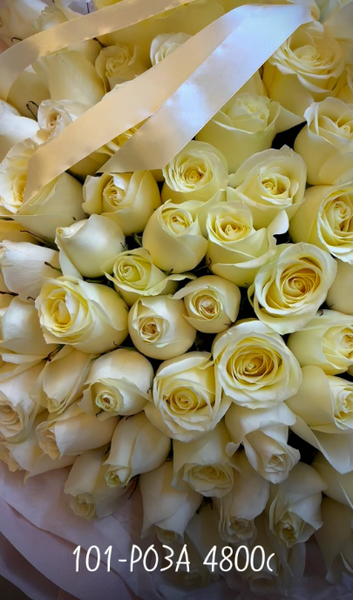 101-из Кенийских роз длина 40см