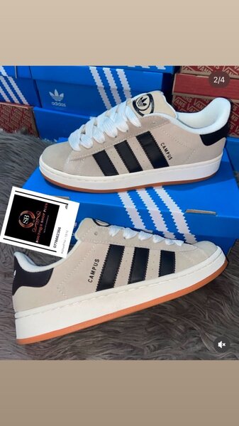 Basket adidas Campus adidas authentique avec sa boîte