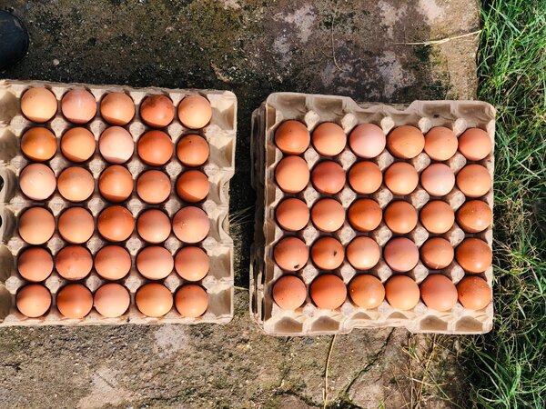 Elens Farm fresh Eggs