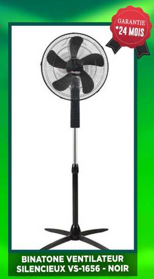 VENTILATEURS BINATONE