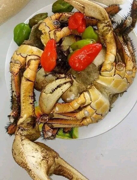 Crabes Frais pour Cuisine