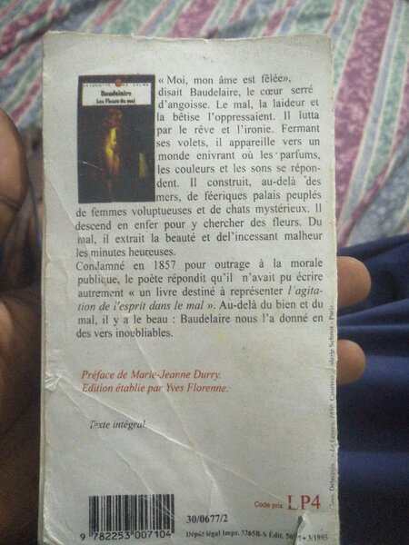 Livre 'Les Fleurs du Mal'