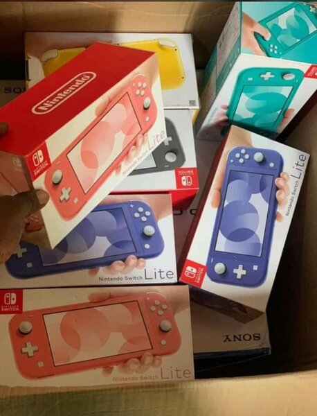 Nintendo Switch Lite