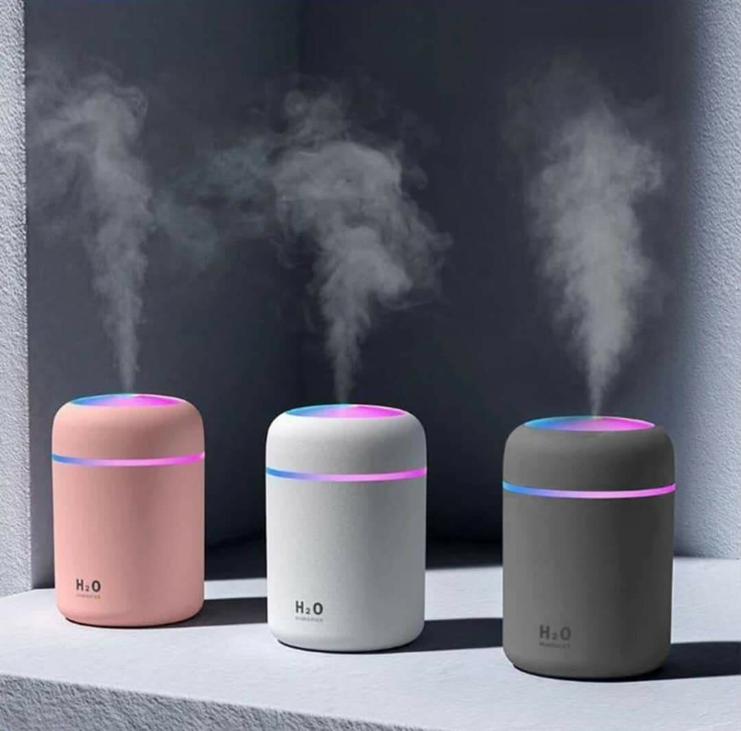 Humidificateur portable