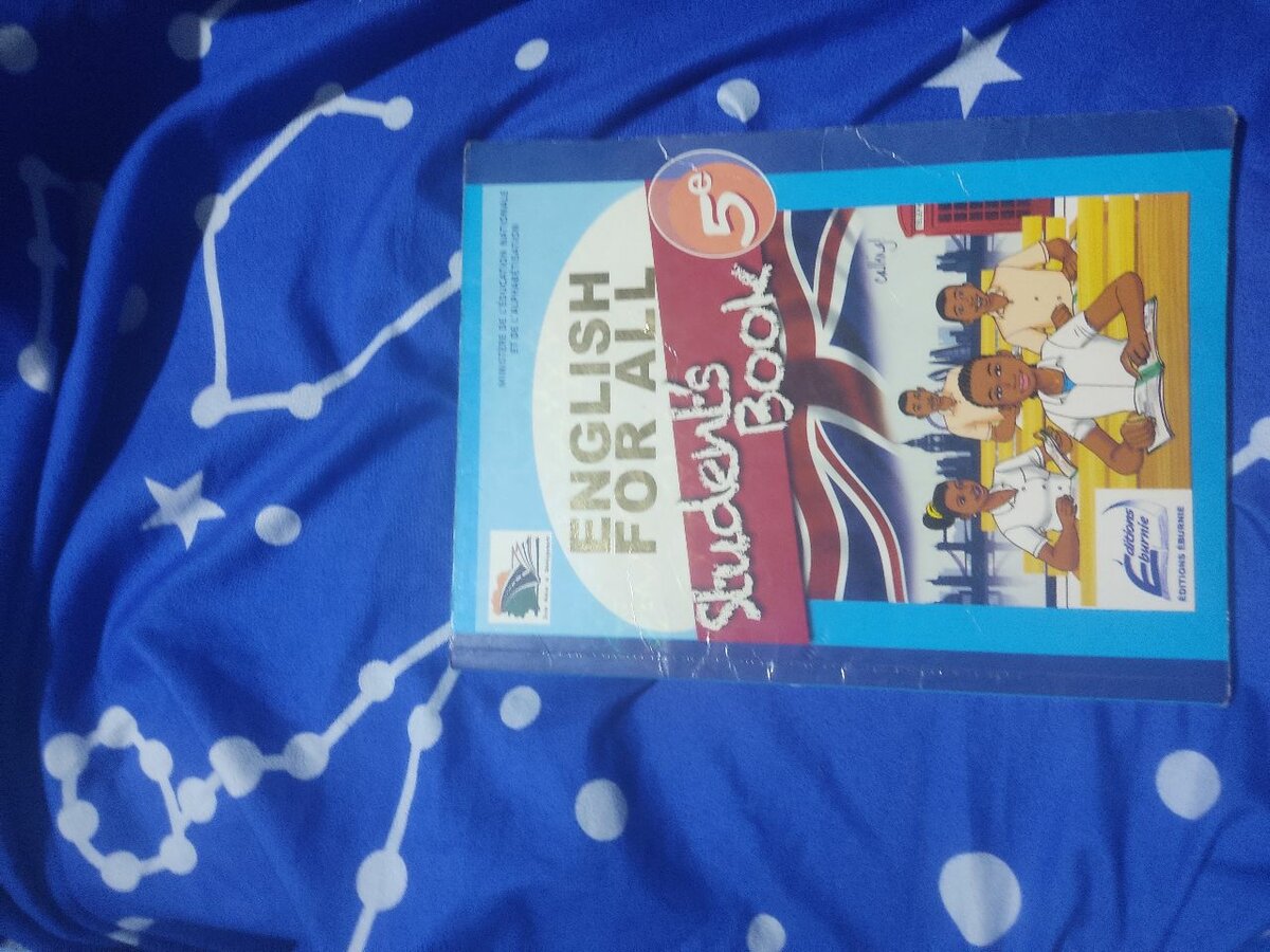 Lot de manuels scolaires 5e