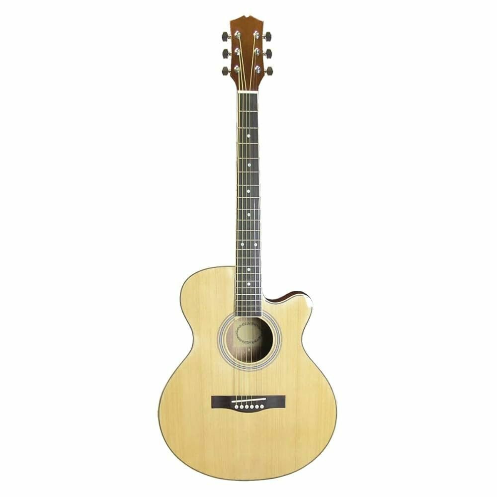 Guitare acoustique avec étui