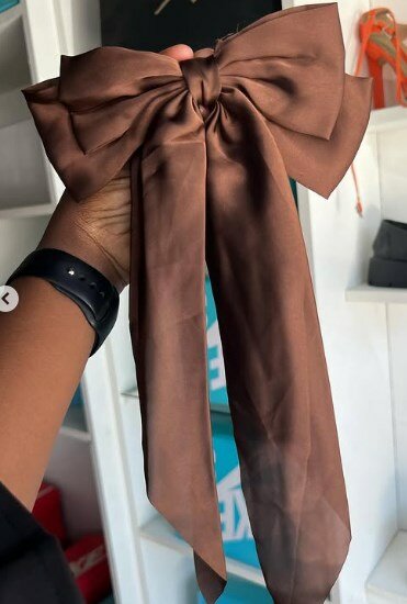 Hair clip bow, brown