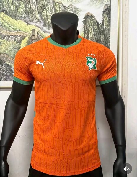 Maillot Éléphants Côte d'Ivoire