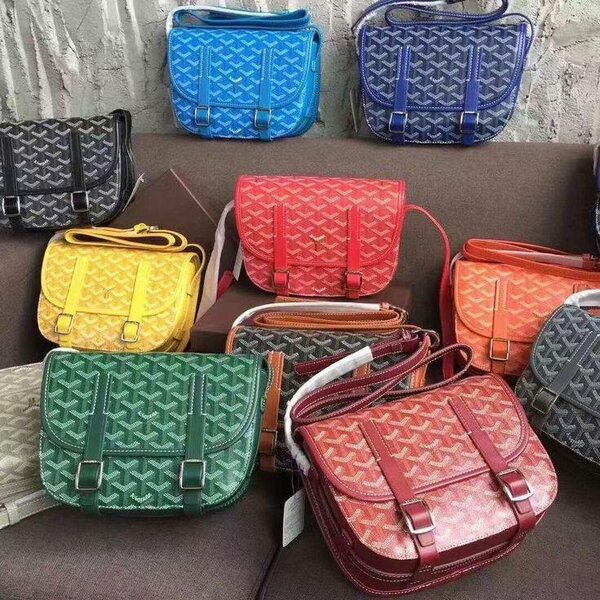 Sac à main Goyard multicolore