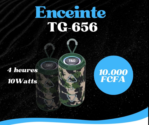 Haut-parleurs BT sans Fil TG656 - Nouveaux Produits 2023 - Caisson de Basses d’Extérieur