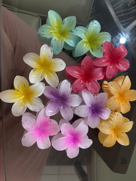 Colorful Flower Set claw clips