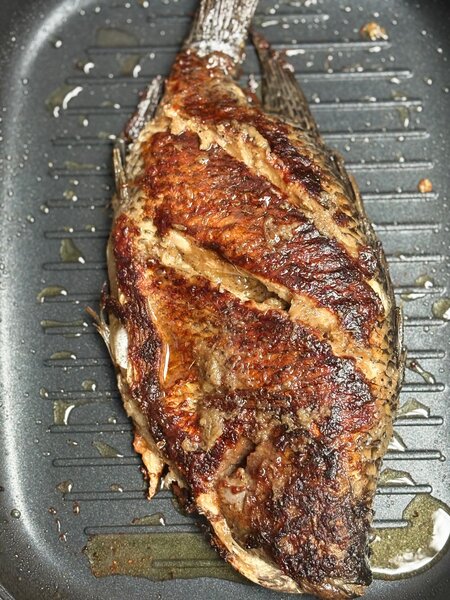 Plat de Poisson braisé +Alloco