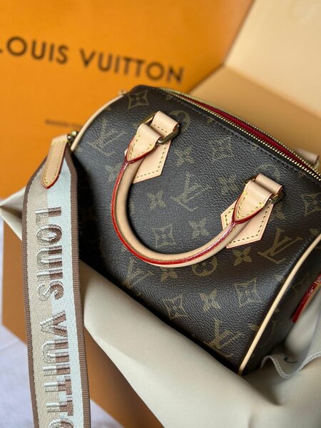 Женская сумка Louis Vitton