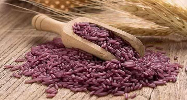 Riz violet bio 700g*5