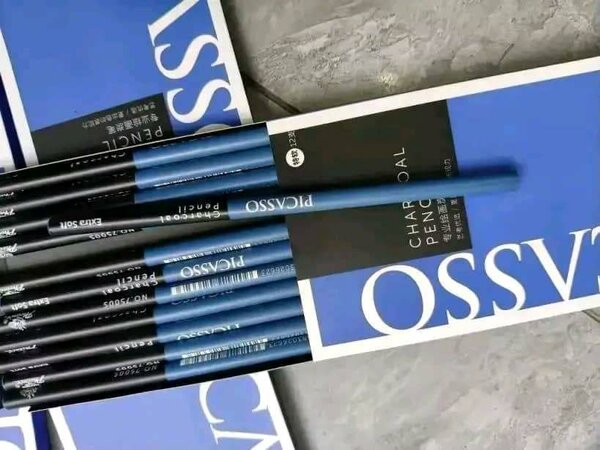Crayon Charbon PICASSO pour dessin