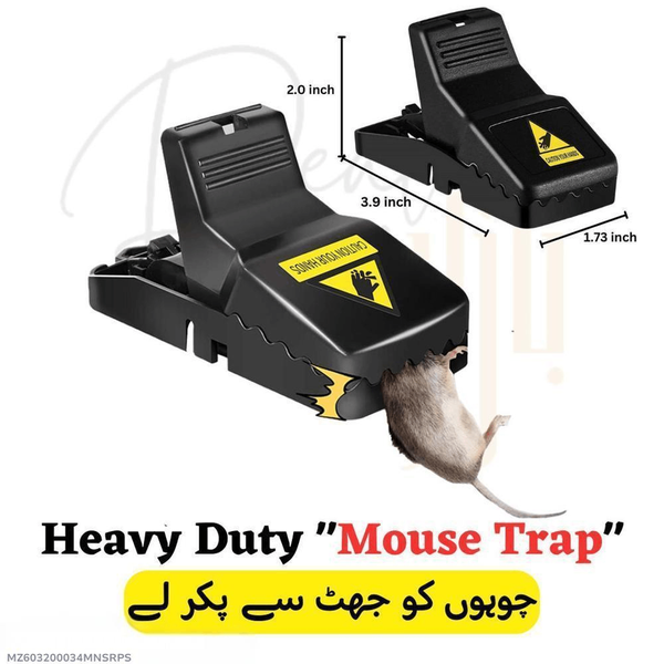 Mouse Trap, Pack Of 5