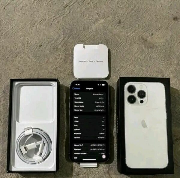 iPhone 13 Pro Max Blanc